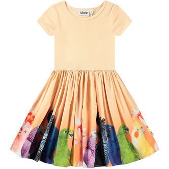 Molo Kjole - Rib - Cissa - Rainbow Parrots m. Print