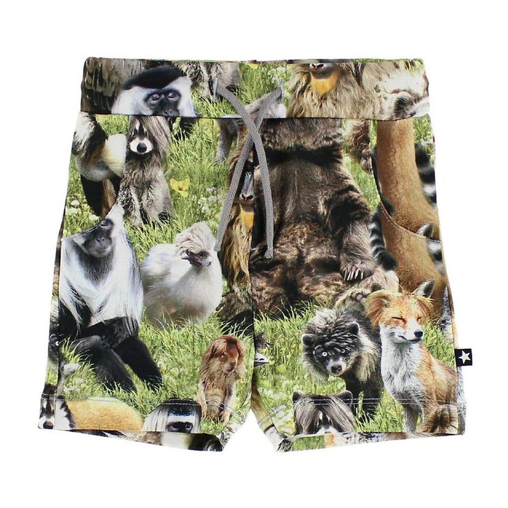 Molo Shorts - Simroy - Hairy Animals