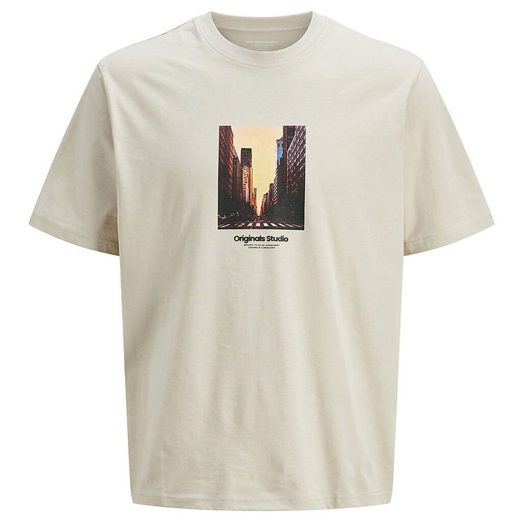 Jack & Jones - T-shirt - JorVesterbro - Moonbeam