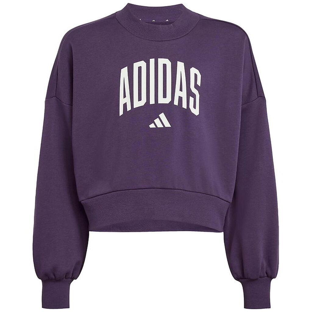 adidas Performance sweatshirt - JG Clgt - Aurplu/White
