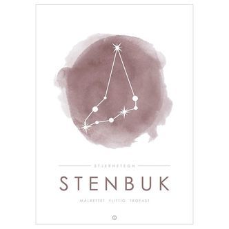 Citatplakat Plakat - A3 - Stjernebillede - Stenbuk - Lyserød