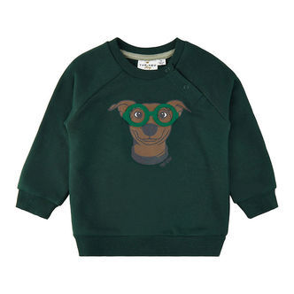 The New Siblings Sweatshirt - TnsHany - Green Gables m. Hund