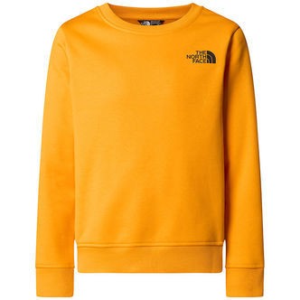 The North Face Sweatshirt - Reg Crew - Summit Gold m. Print
