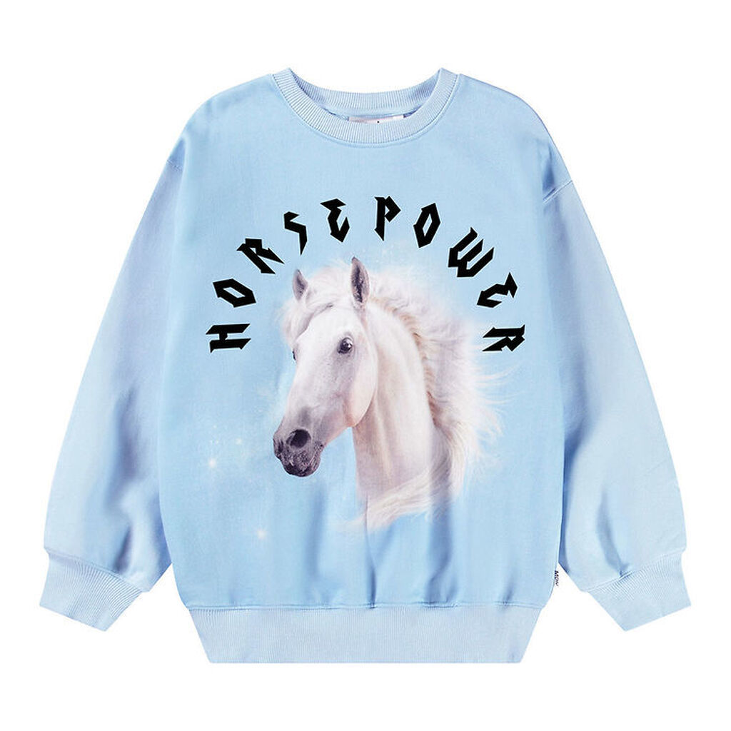 Molo Sweatshirt - Monti - HorsePower