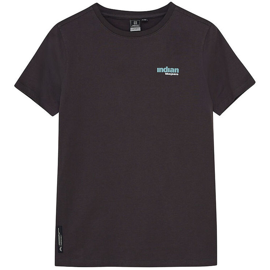 Indian Blue Jeans T-shirt - Antra Ash m. Print