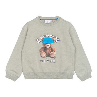 The New Sweatshirt - TnPendra - Light Grey Melange