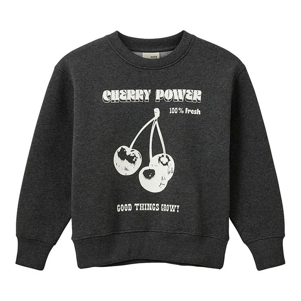 Sofie Schnoor Sweatshirt - Dark Grey Melange m. Print