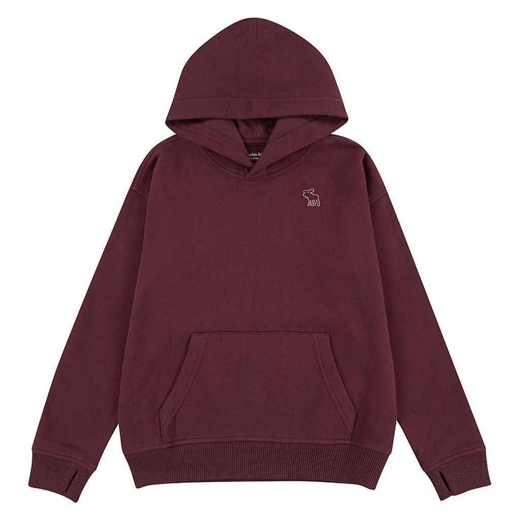 Abercrombie & Fitch Hættetrøje - Fig