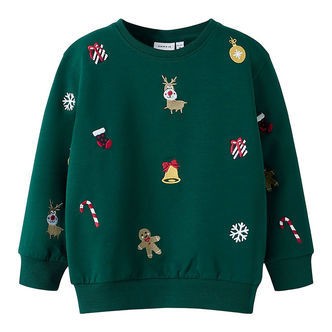 Name It Sweatshirt - NmnRkringle - Botanical Garden