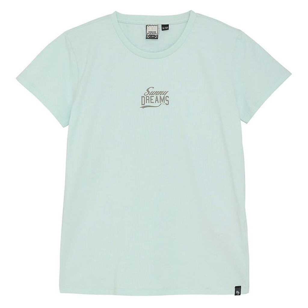 Indian Blue Jeans T-shirt - Blue Glow m. Print