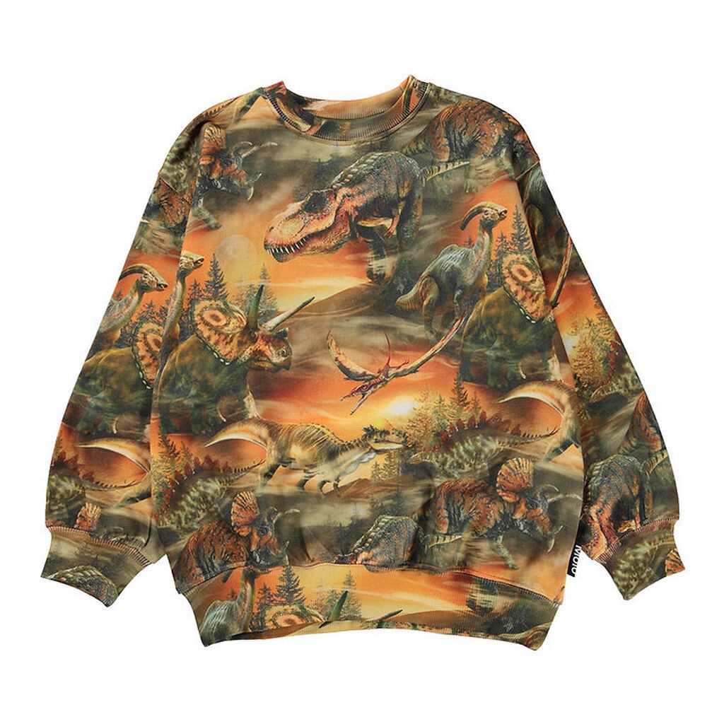 Molo Sweatshirt - Monti - Dino Dusk