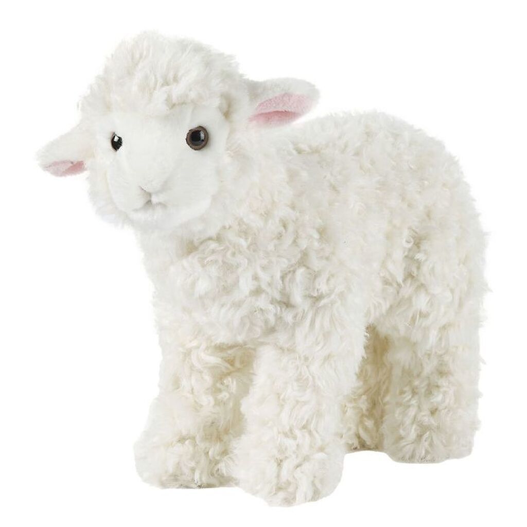 Living Nature Bamse - 24x22 cm - Lam - Large - Off White