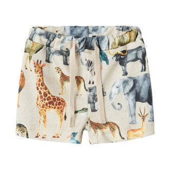 Name It Shorts - NbmJasen - Peyote Melange