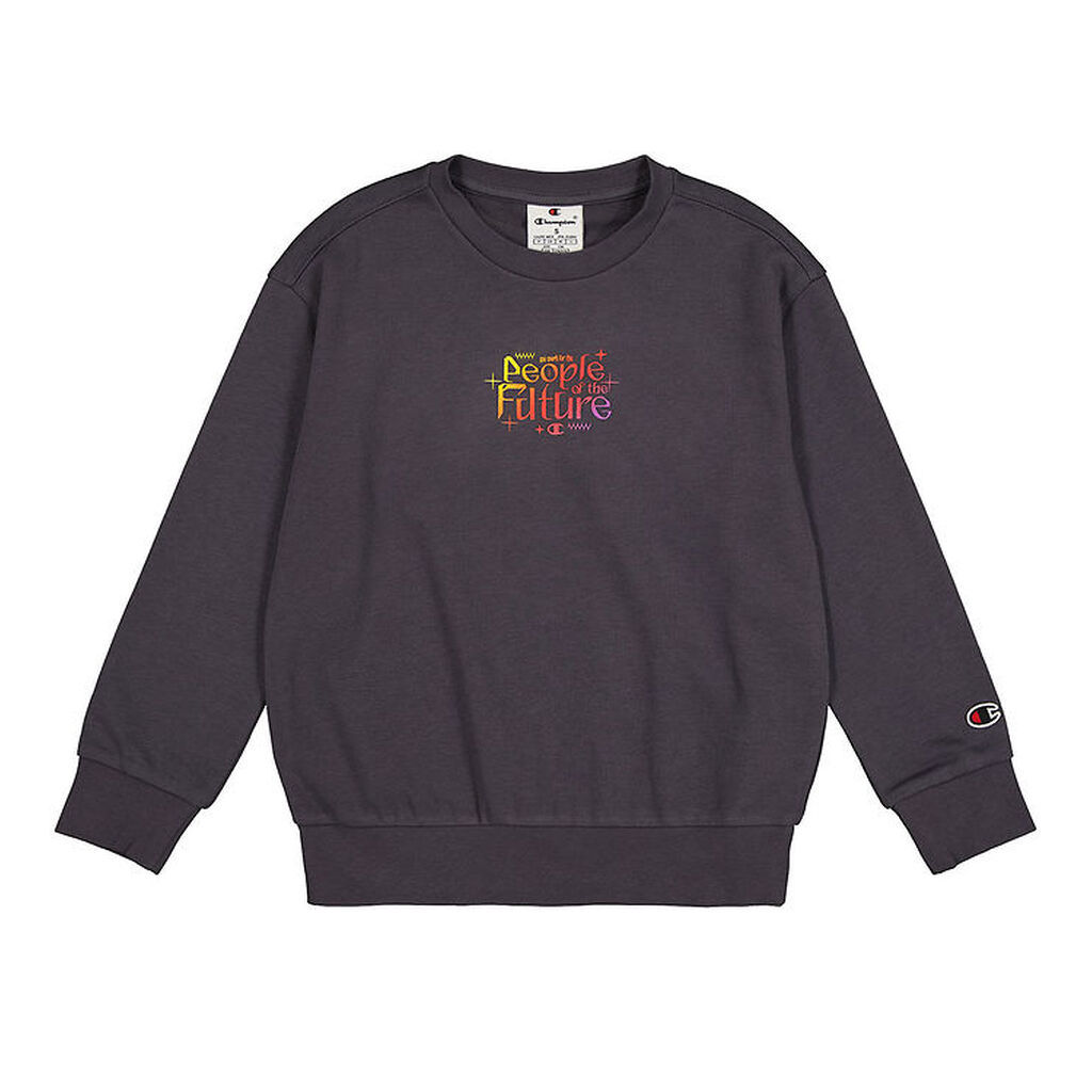 Champion Sweatshirt - Grå