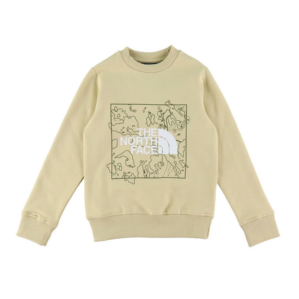 The North Face Sweatshirt - Graphic - Gravel/Forest Olive