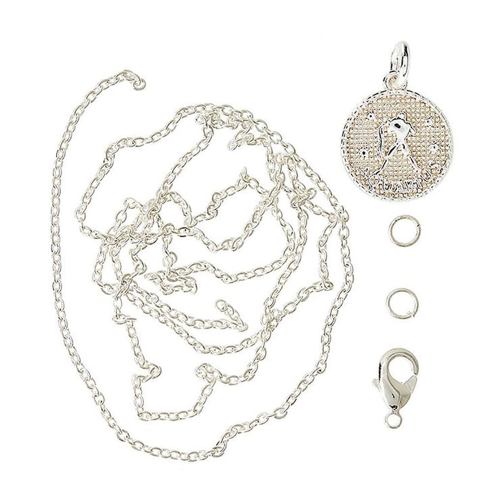 Me&My BOX Halskæde m. Stjernetegn - Vandmand - Sølvbelagt