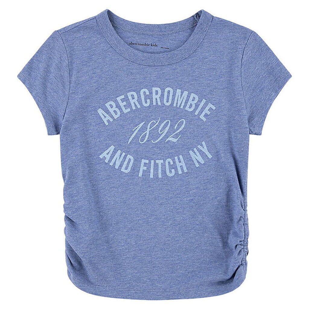 Abercrombie & Fitch T-shirt - Colony Blue Heather
