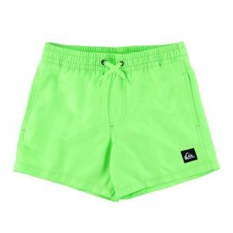 Quiksilver Badeshorts - Everyday - Green Gecko