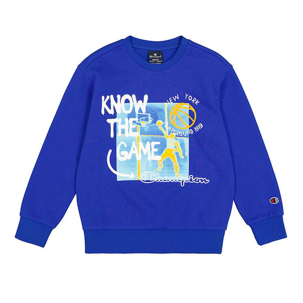 Champion Sweatshirt - Crewneck - Surf the Web