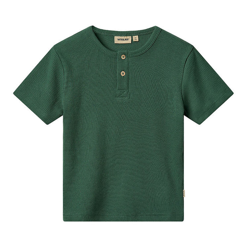 Wheat T-shirt - Rib - Lumi - Grøn