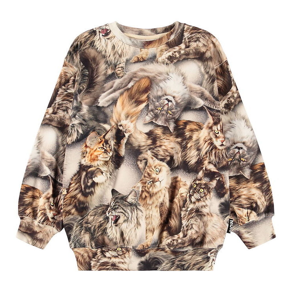 Molo Sweatshirt - Monti - Cattitudes