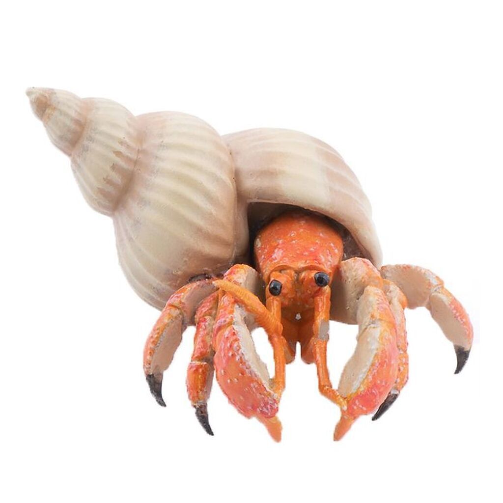 Papo Eremitkrebs - L: 6 cm