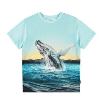Molo T-shirt - Rame - Whale Jump