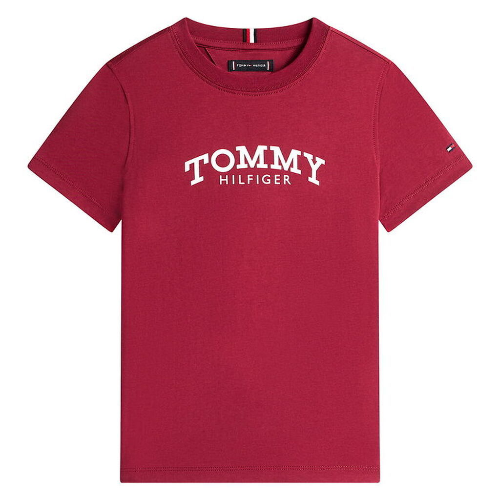 Tommy hilfiger T-shirt - Monotype - Rich Cherrry/Purple