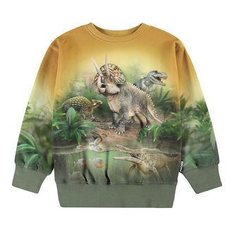Molo Sweatshirt - Mattis - Forest Dinos