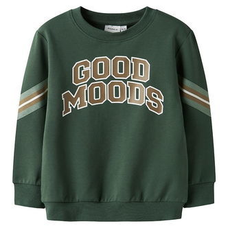 Name It Sweatshirt - Nmmlancer - Garden Topiary