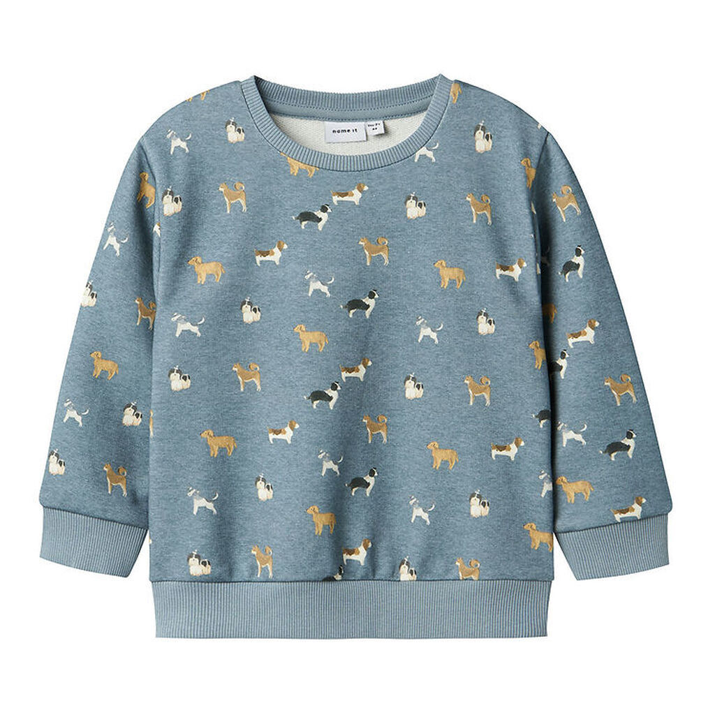 Name It Sweatshirt - NmmBarking - Spring Lake/Melange