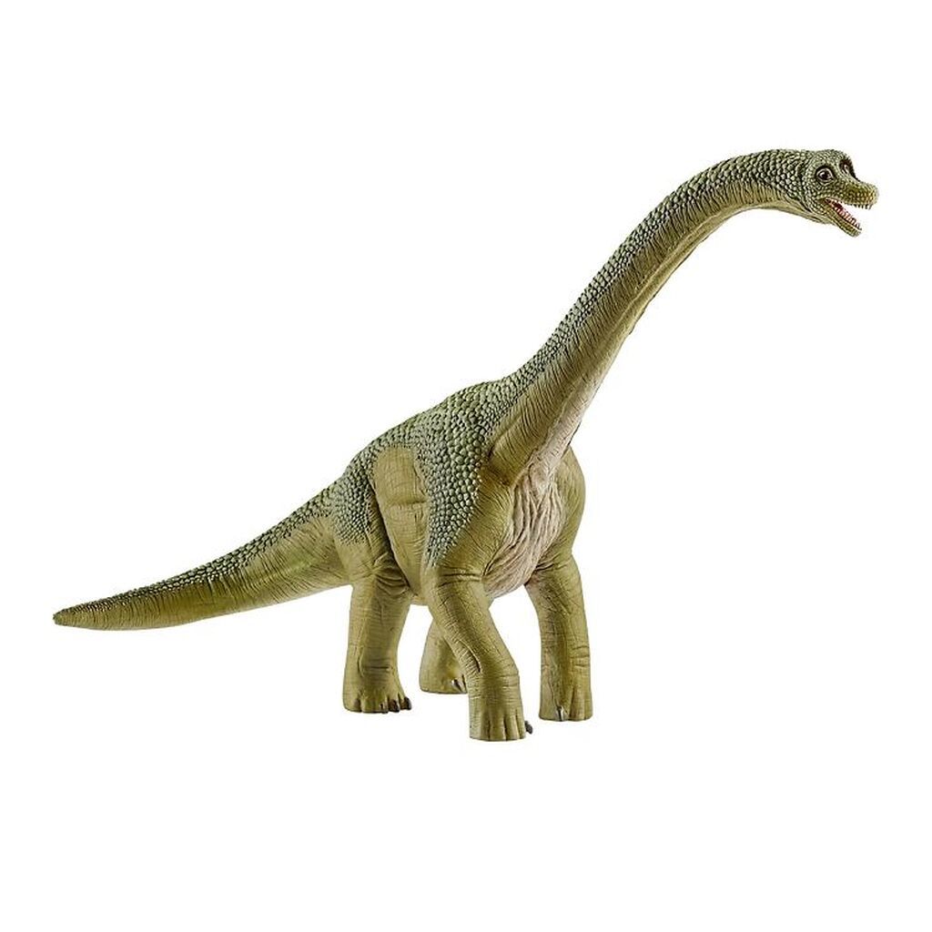 Schleich Dinosaurs - Brachiosaurus - H: 18,5 14581