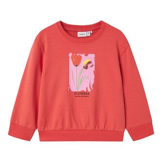 Name It Sweatshirt - NmfFatima - Spiced Coral