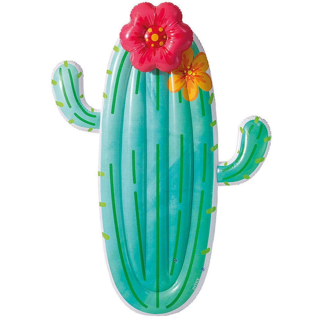 Intex Flyder - 185x140 cm - Kaktus