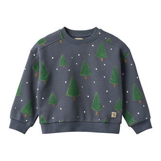 Wheat Sweatshirt - Sandro - Greyblue Holiday