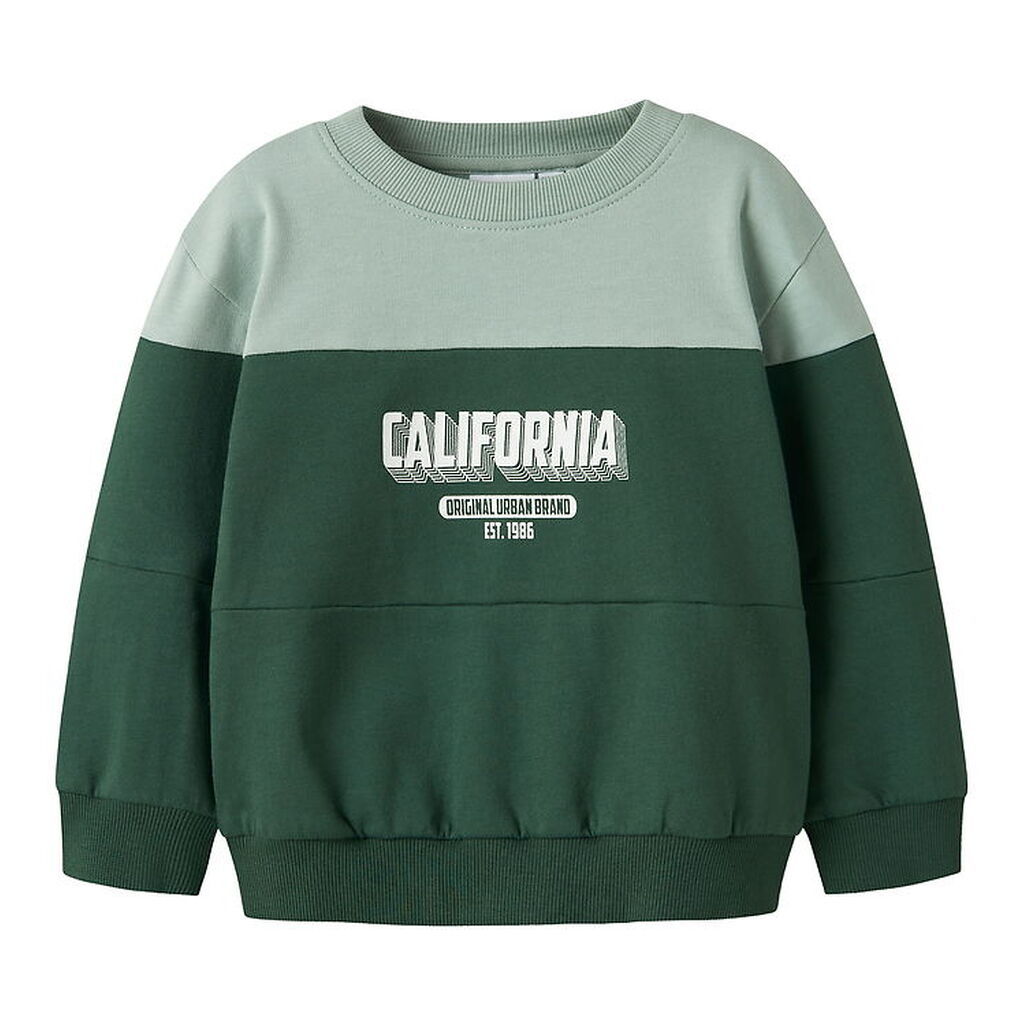 Name It Sweatshirt - NmmVemil - Garden Topiary/California Cloud