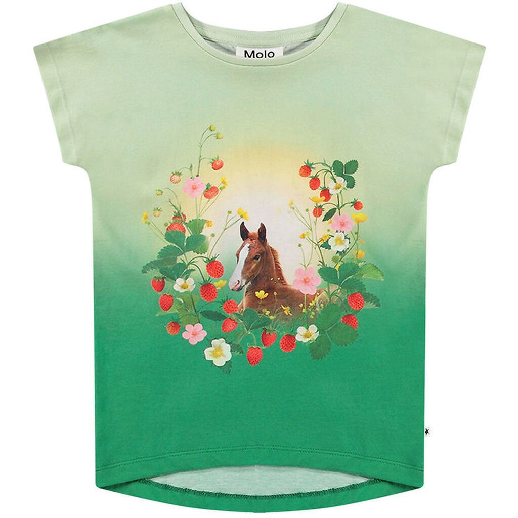 Molo T-shirt - Ragnhilde - Beauty