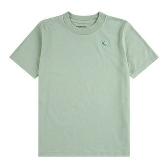 Abercrombie & Fitch T-shirt - Chinois Green