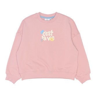 The New Sweatshirt - TnSandy - Silver Pink m. Print