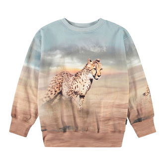 Molo Sweatshirt - Mattis - Running Cheetahs