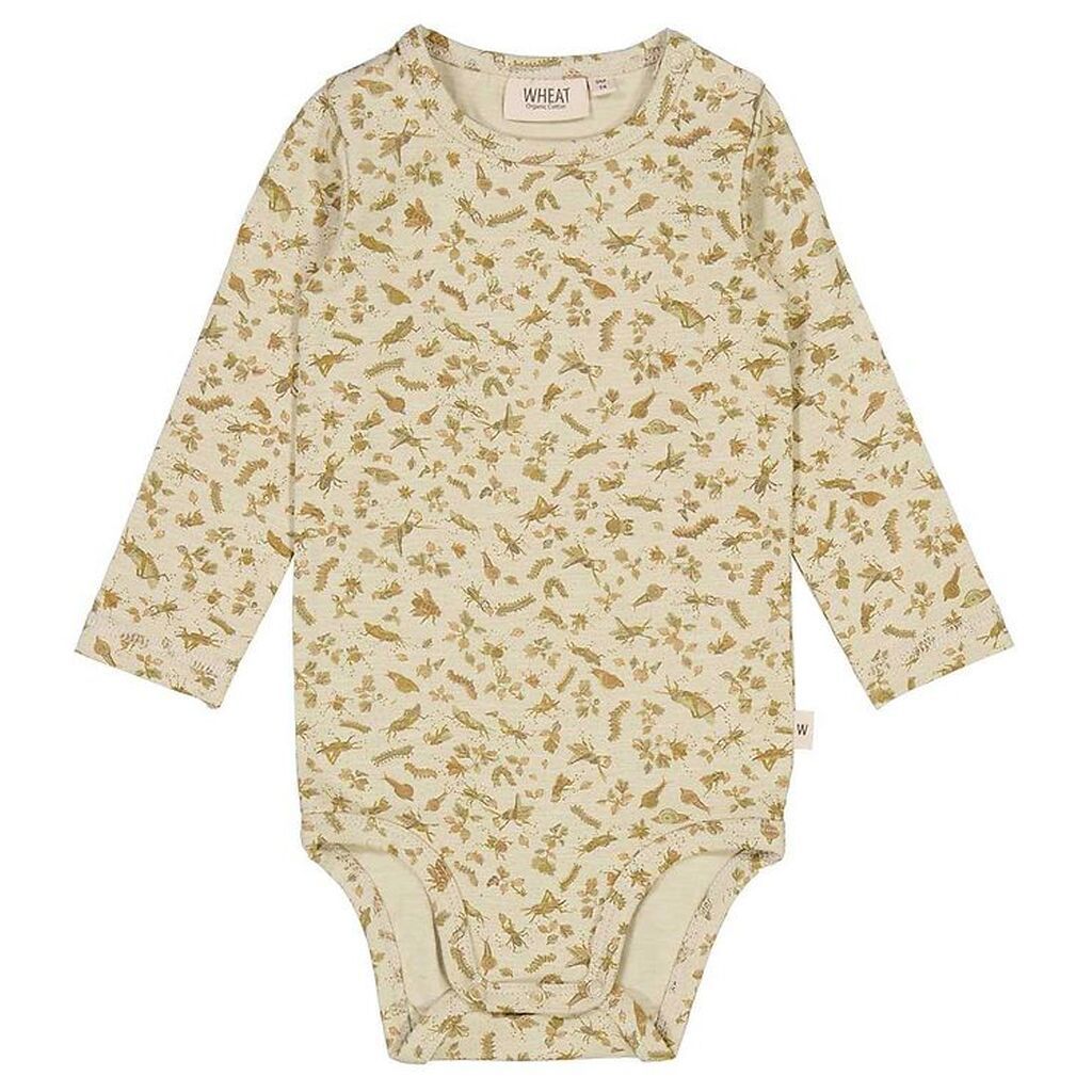 Wheat Body l/æ - Fossil Insects