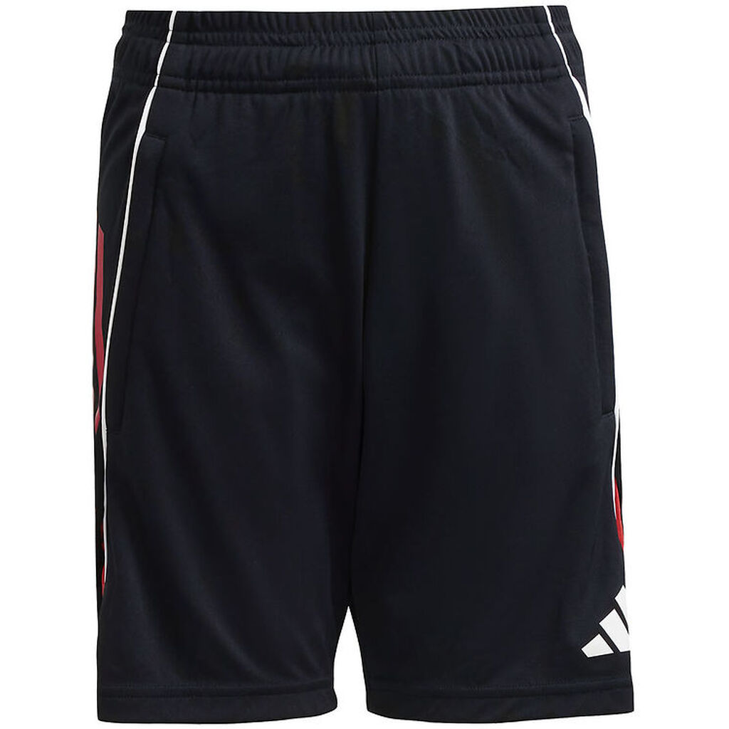 adidas Performance Shorts - Tiro25C TR - Black/Tepore