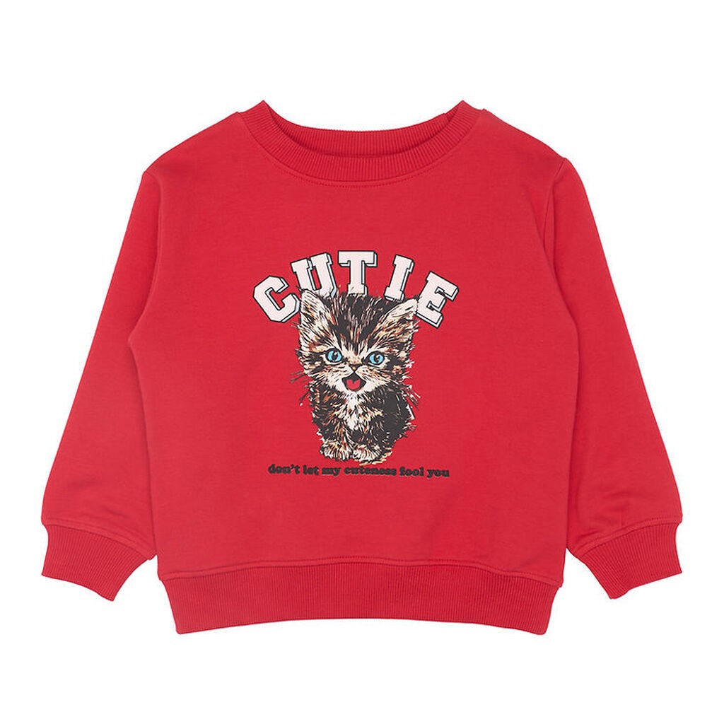 The New Siblings Sweatshirt - TnstRonja - Ski Patrol