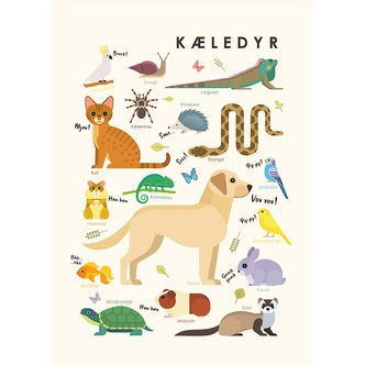 Citatplakat Plakat - Børneplakat - Kæledyr - A3