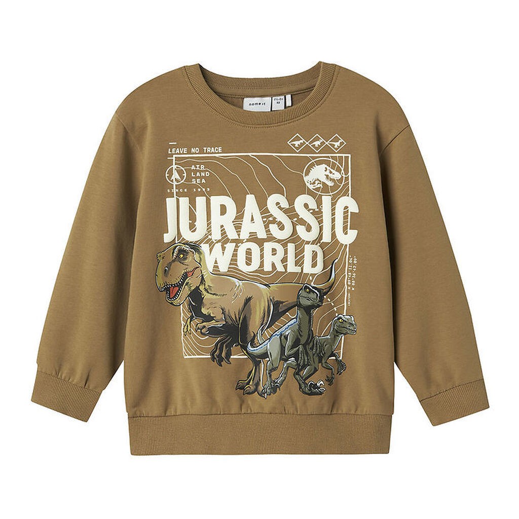 Name It Sweatshirt - NmmFor Jurassic - Elmwood