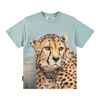Molo T-shirt - Rubin - Big Cheetah Blue