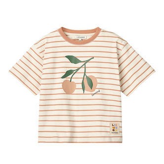 Liewood T-shirt - Tyler - Peach / Stripe Tuscany Rose
