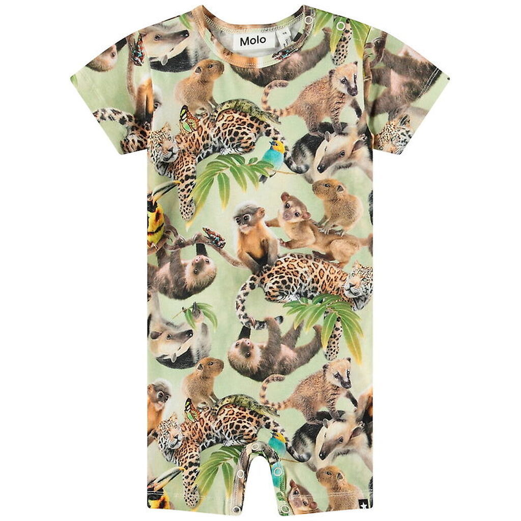 Molo Sommerdragt - Finn - Jungle Cubs