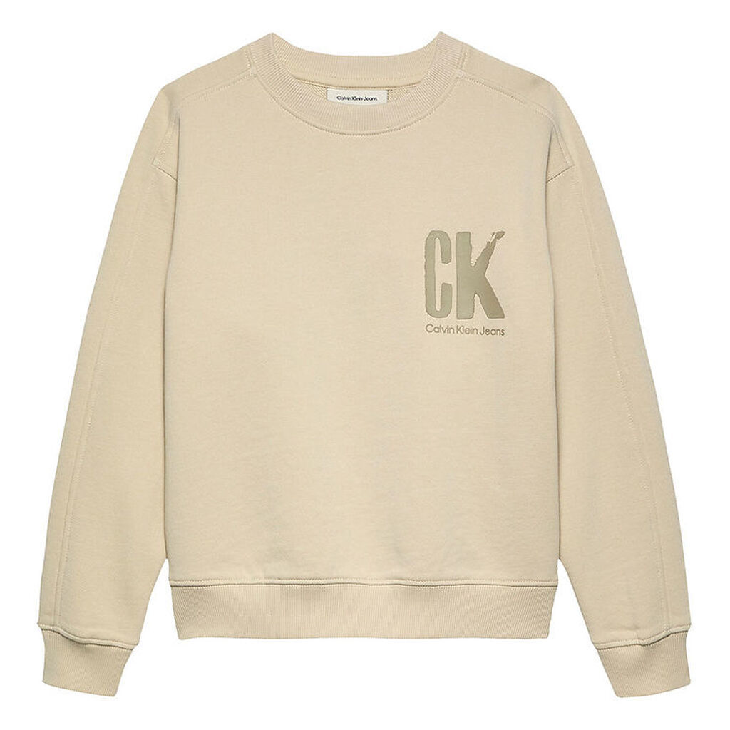 Calvin Klein Sweatshirt - Summer Backprint - Oyster Gray Grey