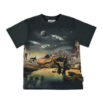 Molo T-shirt - Riley - T-Rex Planet